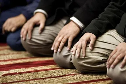 Független tanulmány az arab nyelv