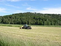 Mezőgazdaság - studopediya