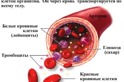 Diabetes Iskola lényege, előnyei és jellemzői (iskolai) Diabetes Iskola lényege, előnyei és jellemzői