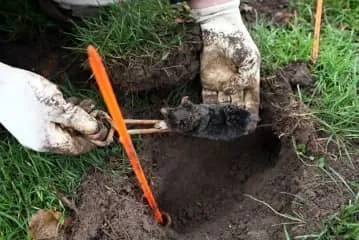 Hat módját, hogyan kell kezelni, és visszavonja mol kertvárosi övezetben