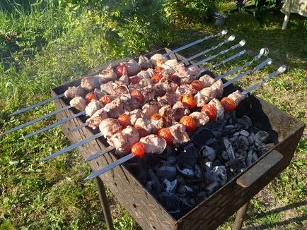 csirke kebab