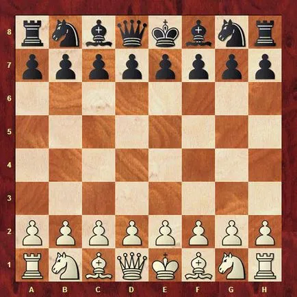 Sakk bemutató kezdőknek