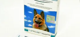 Tünetei a mellrák kutyák és macskák (fotó és videó anyag)
