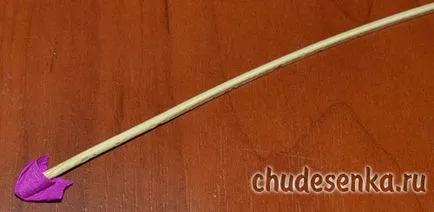 Lila hullámpapír a szakterületen gérvágó (master) Lila hullámpapír a szakterületen gérvágó
