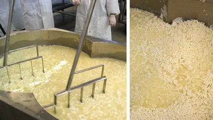A tejsavófehérje a teljes igazság róla (az igazság) A tejsavó fehérje a teljes igazságot róla