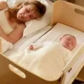 Parittya az újszülött kritériumok jellemzők, hevederek (nemzetségek) Parittya az újszülött kritériumok jellemzők, hevederek
