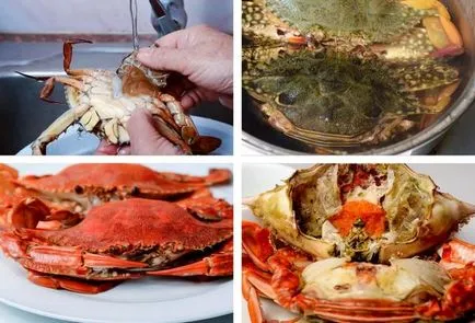 Mennyit és hogyan kell főzni, friss és fagyasztott rák otthon