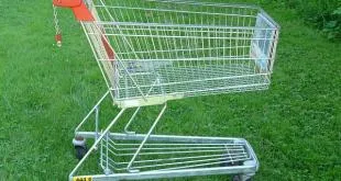 A kompatibilitás a termékek helyes - mi - esznek (élelmiszer) A kompatibilitás a termékek helyes - mi - enni