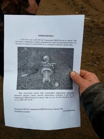 Kutyák - kannibálok kóbor kutyák kitépte a fiú Ufa, és megtámadta a gyermeket Voronyezs - gyilkosság