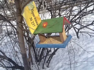 Így madár etetők saját kezűleg