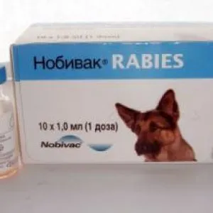 Átfogó oltás macskák
