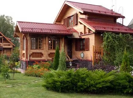 Mi van tuja