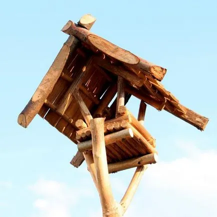 Mi a táplálkozás során a madarak