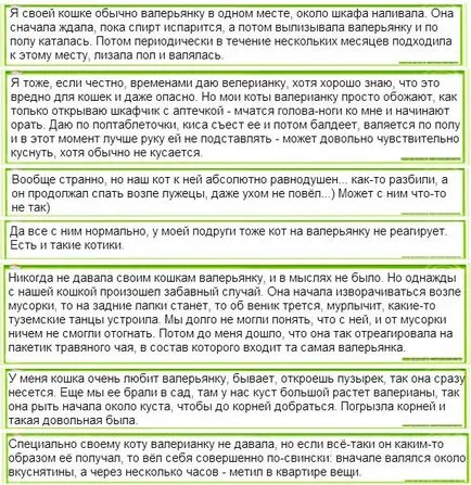 Káros-e ez a macska Káros-e ez a macska