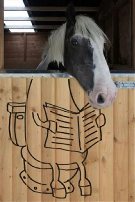 Lovak a kapcsolatot