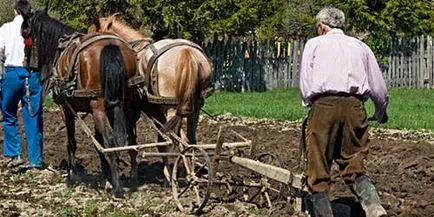 Álomértelmezés eke szántani a földet, hogy az álom az álom