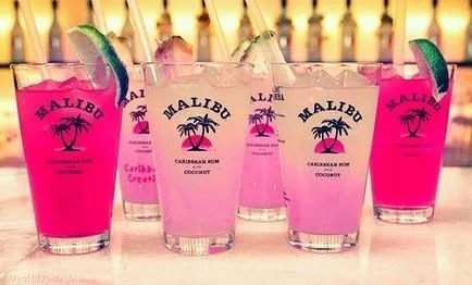 Tippek és receptek, mit és hogyan kell inni folyadékot malibu
