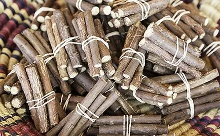 Édesgyökér hasznos tulajdonságok és ellenjavallatok, alkalmazására és receptek (édesgyökér) (édesgyökér hasznos tulajdonságokkal ellenjavallat gyökér alkalmazása meztelen véleményét Ural haszon kárt kivonatot tinktúra köhögés medvecukor gyógynövény édesgyökér gyógynövények gyerek húsleves készítmény recept szirup pigment foltok terhesség trimeszter tisztító nyirok hagyományos orvoslás kozmetológiai nőgyógyászat száraz nedves nedves ) Édesgyökér hasznos tulajdonságok és ellenjavallatok, alkalmazására és receptek (édesgyökér)