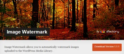 Ways, hogy megvédje a képek jelennek meg a honlapon wordpress (wordpress plugin) Ways, hogy megvédje a képek jelennek meg a WordPress honlap