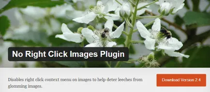 Ways, hogy megvédje a képek jelennek meg a wordpress honlapján (portfolió) Ways, hogy megvédje a képek jelennek meg a WordPress honlap
