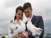 esküvő költsége