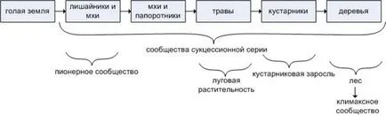 ökológiai öröklési rendszer - studopediya