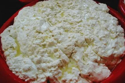 Suluguni, hogyan kell főzni otthon, a recept egy fotó (Telavi) Suluguni, hogyan kell főzni otthon, a recept egy fotó