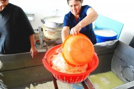 Suluguni, hogyan kell főzni otthon, a recept egy fotó (suluguni) Suluguni, hogyan kell főzni otthon, a recept egy fotó