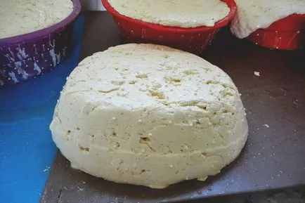 Suluguni, hogyan kell főzni otthon, a recept egy fotó (grúz sajt) Suluguni, hogyan kell főzni otthon, a recept egy fotó