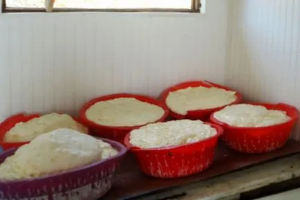 Suluguni, hogyan kell főzni otthon, a recept egy fotó (túró Hacho) Suluguni, hogyan kell főzni otthon, a recept egy fotó