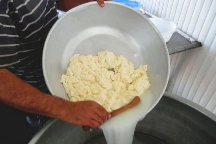Suluguni, hogyan kell főzni otthon, a recept egy fotó (suluguni recept fotó) Suluguni, hogyan kell főzni otthon, a recept egy fotó