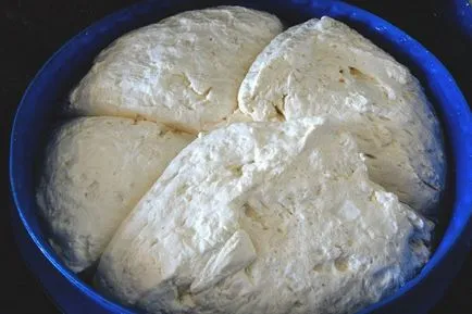 Suluguni, hogyan kell főzni otthon, a recept egy fotó (suluguni otthon recept) Suluguni, hogyan kell főzni otthon, a recept egy fotó