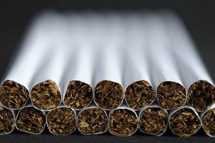 A dohányipari vállalkozás nyitott cigarettagyártó (nyitott cigaretta termelés) A dohányipari vállalkozás nyitott cigaretta gyártása