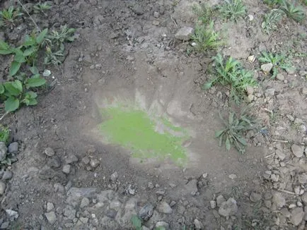 Hegesztő otthon