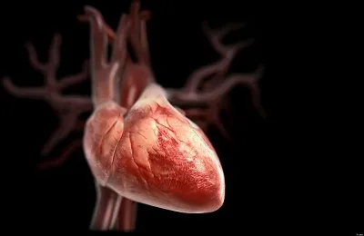 Tachyarrhythmia mi ez, tünetei és kezelése