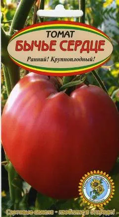 Paradicsomos marhahús szív - a fajta leírását fotókkal, értékelés (leírás) Paradicsomos marhahús szív - a fajta leírását egy fotó, vélemények