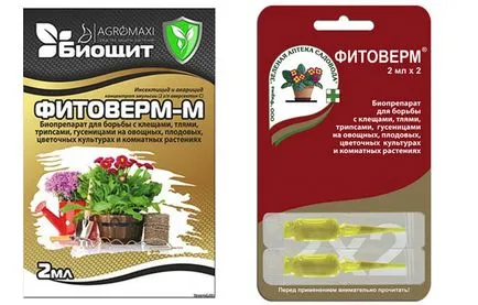 A levéltetvek a paprika palántákat, hogyan kell kezelni a fenyegetést, mint élvezet