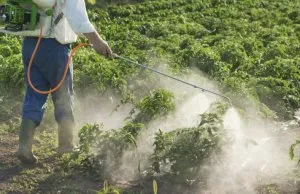 Tornádó gyomok használati utasítást a herbicid (gyomirtó) Tornado gyomok használati utasítást a herbicid