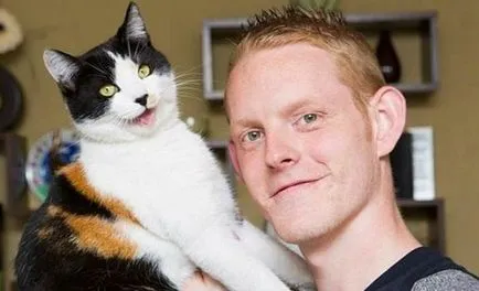 Calico cat - a teljes igazságot a gének, jellem és magatartás (viselkedés) Calico cat - a teljes igazságot a gének, jellem és viselkedés