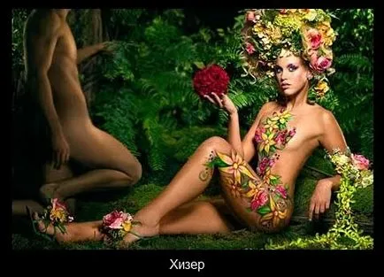 Amerika Next Top Model