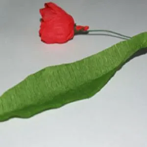 Tulipán hullámpapír