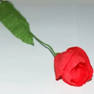 Tulipán hullámpapír
