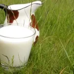 A szénhidrátok az egyszerű és összetett, miért van szükség, és mennyit eszik (ital) A szénhidrátok az egyszerű és összetett, miért van szükség, és mennyit eszik
