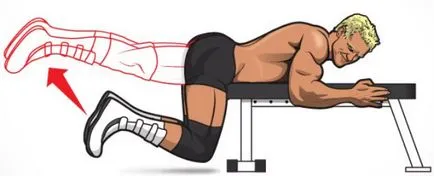 Meg kell erősíteni a hátsó hyperextension testmozgás, bronz tornaterem