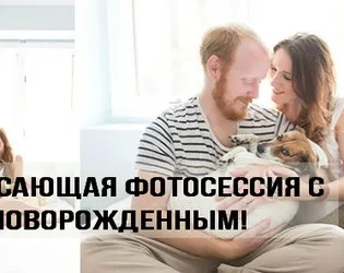 Ne macskák tudják, hogyan - és úgy gondolják, hogy - azt hiszem - rólunk, tömítések és nyashki