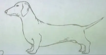 Tanulságokat 1