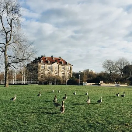 Urban belül - egy utazás a Berlin Drezda