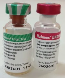 Nobivac vakcina macskák - felülvizsgálat, kézi, ár