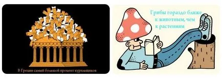Ismerje meg a sok