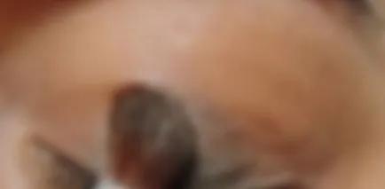 Este szem smink árnyalatú barna - csokoládé színű smink (fotó) (barna) Este szem smink árnyalatú barna - csokoládé színű smink (fotó)